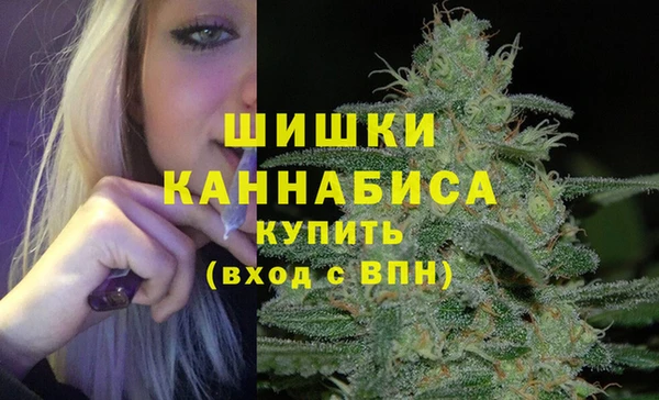 прущие грибы Кодинск