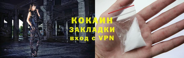 прущие грибы Кодинск