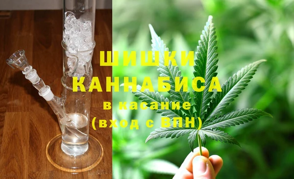 прущие грибы Кодинск
