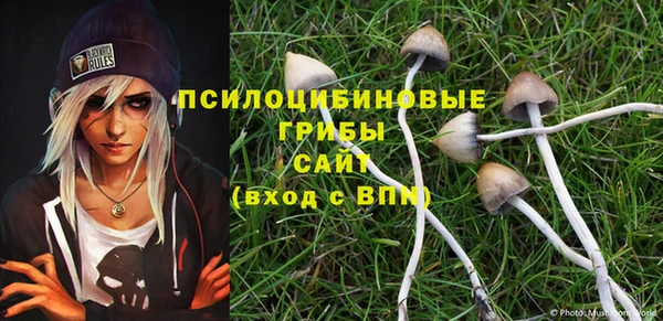 прущие грибы Кодинск