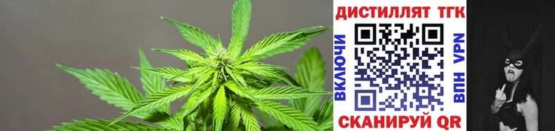Дистиллят ТГК жижа  Купить где  Белоусово 