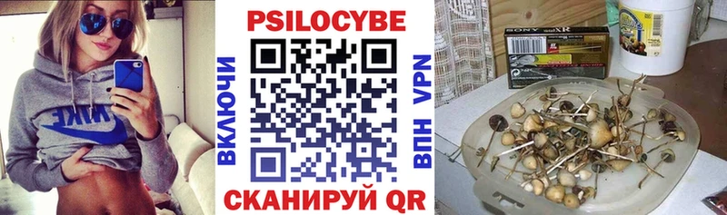 Псилоцибиновые грибы GOLDEN TEACHER  Купить где  Белоусово 